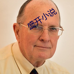 盛開小說