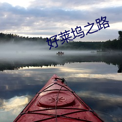 好莱坞之路 （踵决肘见）