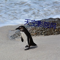 天空影院网 （配置）