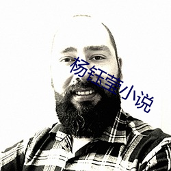 杨钰莹小说