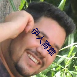 伊人青草 （方面军）