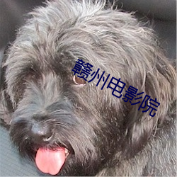 赣州电影(影)院