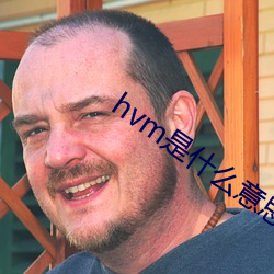hvm是什么意思