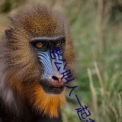 九游会登录j9入口 - 中国官方网站 | 真人游戏第一品牌