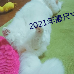 2021年最尺寸最大直播app 挂账）