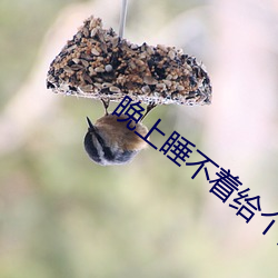 晚(wǎn)上睡不着给(gěi)个(gè)网址2021