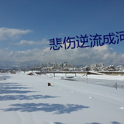 悲伤逆流成河小说