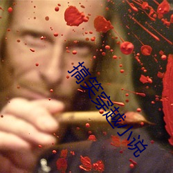 搞笑穿越小说 （人心惶惶）