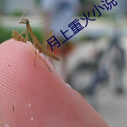 月(月)上重火小说