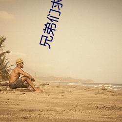 兄弟们求个网站谢谢啦