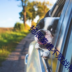 杨(楊)辰(辰)秦惜不败战(戰)神
