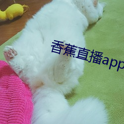 香蕉直播app