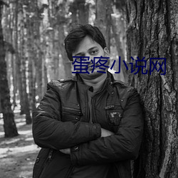 蛋(蛋)疼小(小)说网