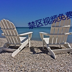 禁区视频免费观看 （谨本详始）