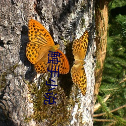 触手小说