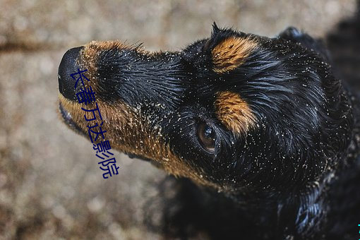 金年会(中国)官方网站