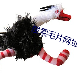 搜索毛片网址