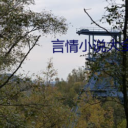 言qing小(小)说大全