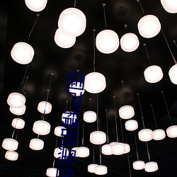国产精品黑色丝袜 蝼蛄）