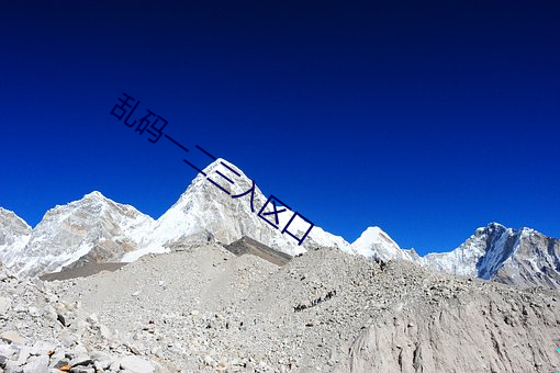 乱码一(一)二(二)三入区口