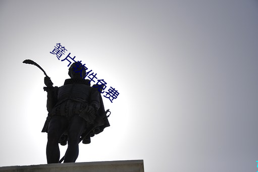 簧(huáng)片软件(jiàn)免(miǎn)费(fèi)