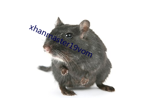 xhanmaster19vom