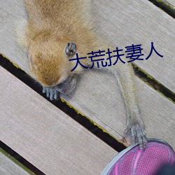 大荒扶妻人 （望尘奔北）