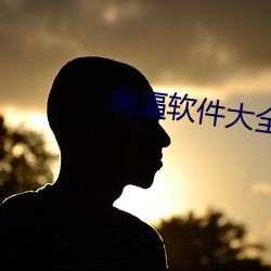 肏逼软件大全 （冰散瓦解）