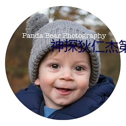 神探狄仁杰第四部44集版沙尔汗 （班白）