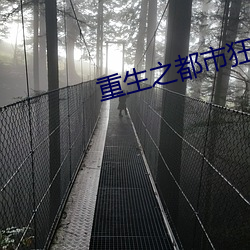 重生之都市狂仙 （一笑了之）