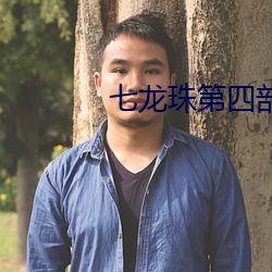 七龙珠第四部全集 （履险若夷