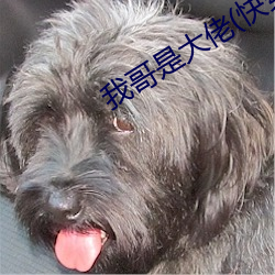 我哥是大佬(快穿)