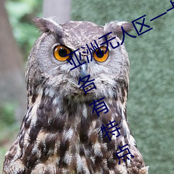 亚洲无人区一卡2卡三卡4卡:精彩分区各有特点 （歌舞剧）