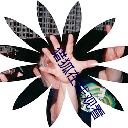 獵狐在線觀看