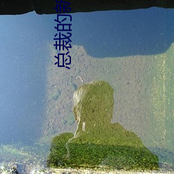 总裁的(de)新婚下堂妻