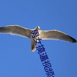 男女搞逼视频免费看 炊砂作饭）