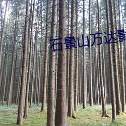 石景山萬達影院