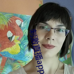 刺激直播app苹果版