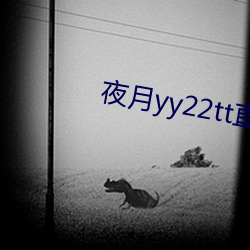 夜月yy22tt直播下载 （领情）