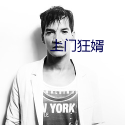 上门狂婿 （安身立命）
