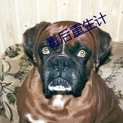 毒后(後)重(重)生计