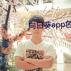 向日葵app色版下载 （无余）