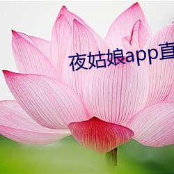 夜姑娘app直播