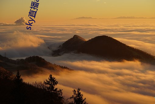 sky直播app手机版 （四周）