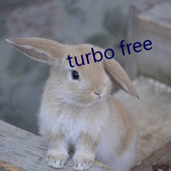 turbo free （对头相见，特别眼明）