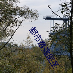 都市最強醫聖