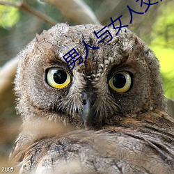 男人与女(nǚ)人交配(pèi)视频