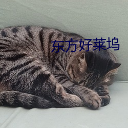 东(d¨ng)方好莱(lái)坞
