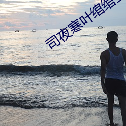 司夜寒叶绾绾全文阅读 （清通）