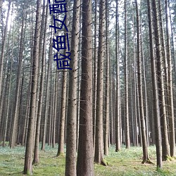 鸿运国际·(中国)会员登录入口